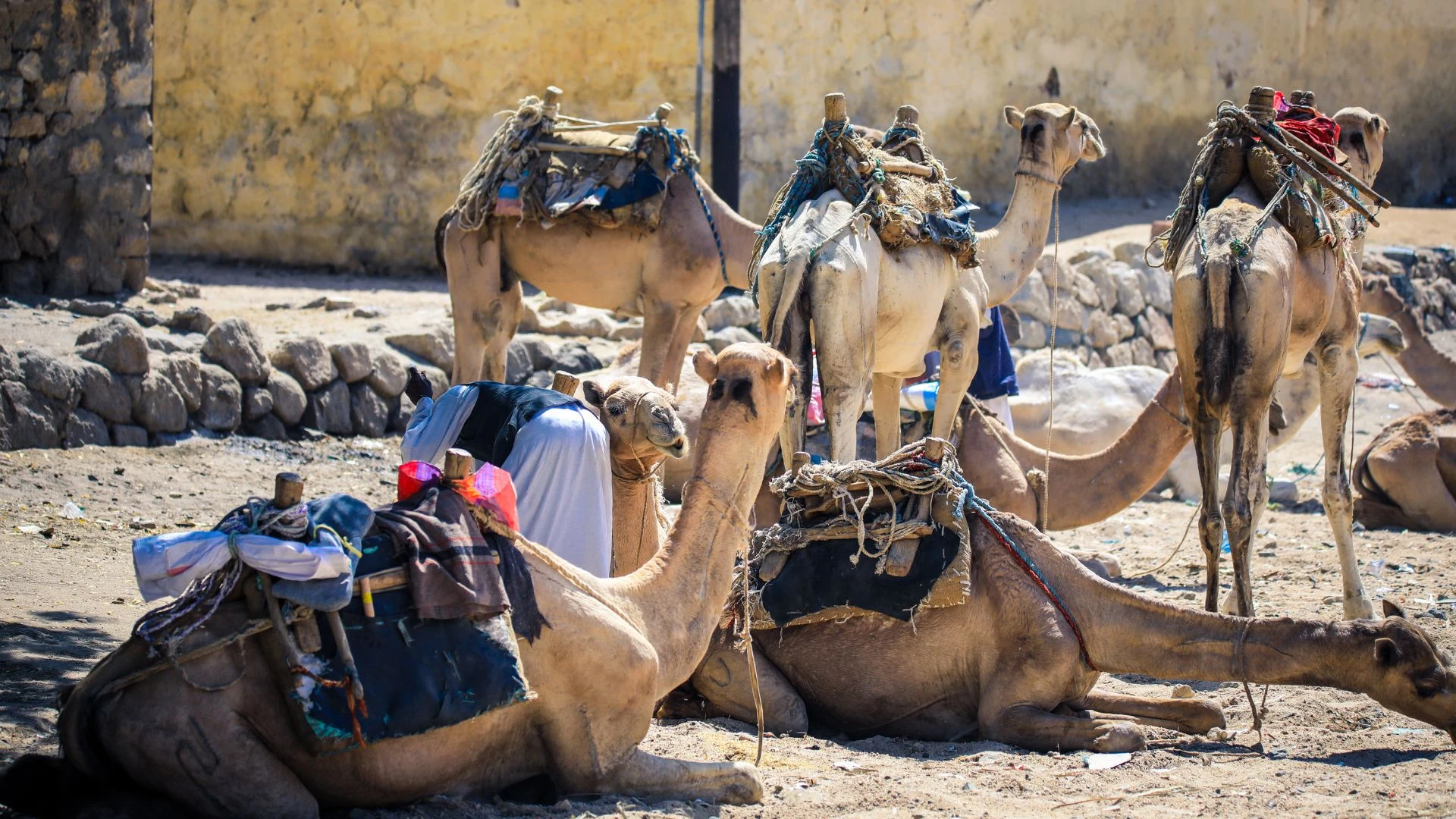 Eritrea e le celebrazioni del Timkat